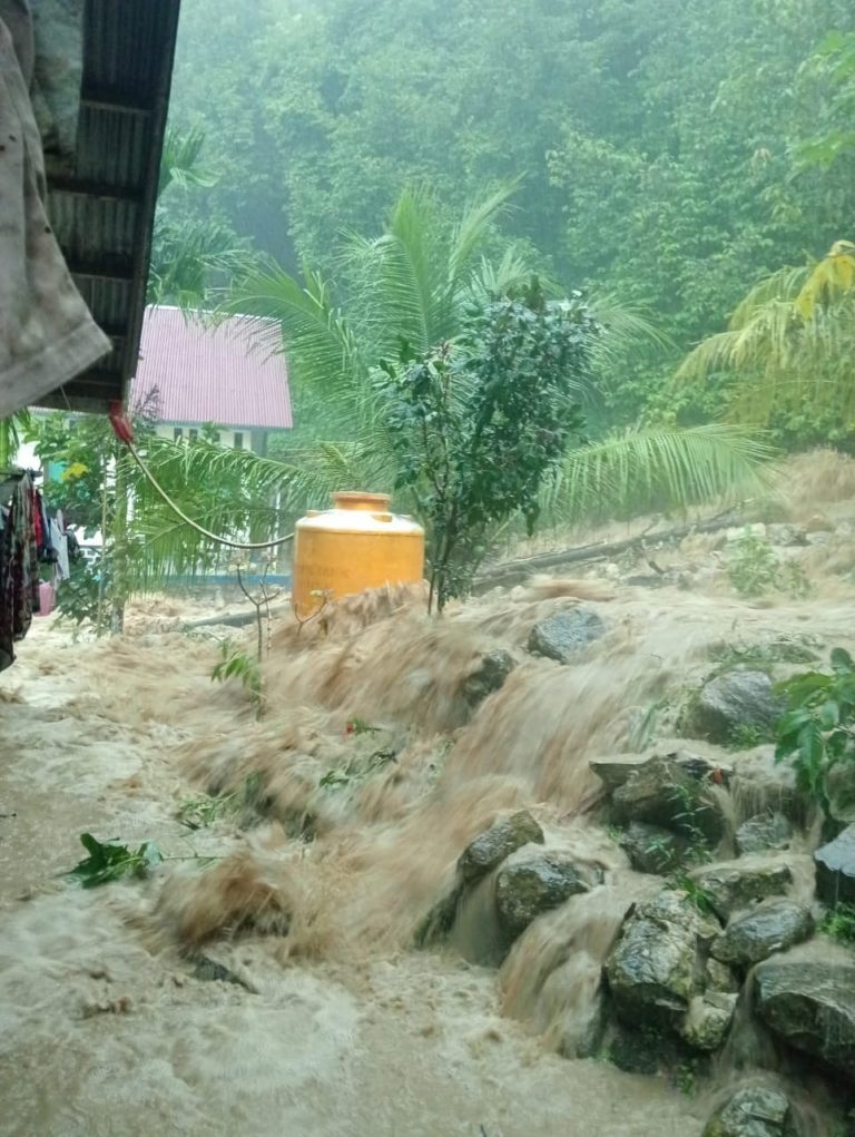 WhatsApp Image 2025-12-10 at 18.00.01